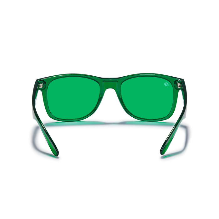 The Translucent – Renewal Green